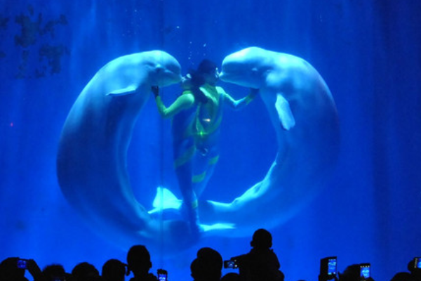 哈尔滨网红景点排行榜，平山神鹿旅游区、伏尔加庄园榜上有名插图3