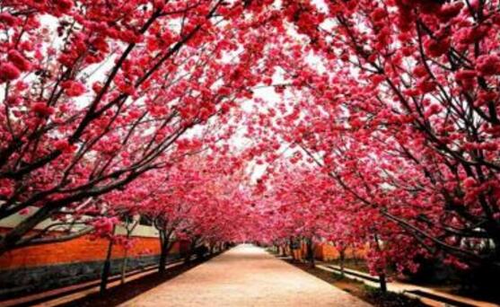 烟台好玩的地方排行榜 四大名楼之一的滕王阁你去过吗插图6