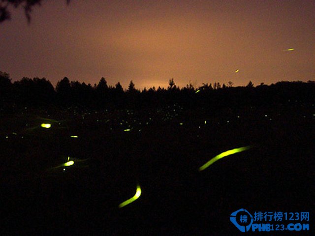 世界10大最美的夜景赏玩地排行榜插图9