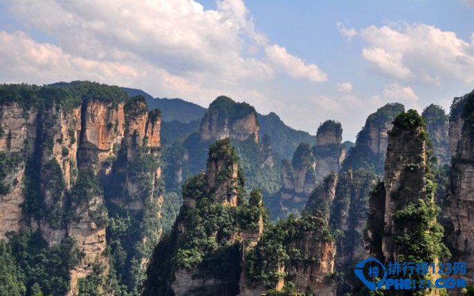 全球十大静美森林排行榜插图6