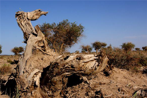 哈密十大旅游景点：寒气沟上榜，第十可以垂钓和烧烤插图2