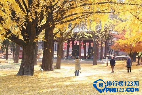 2016不可错过的八大旅行地排行榜插图2