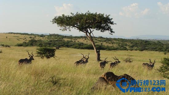 南非十大必游之地排行榜插图5