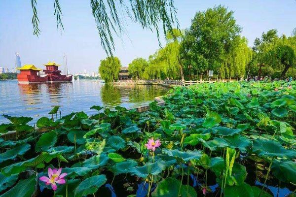 山东十大最好玩的景点 泰山很火爆大明湖有着许多故事插图4