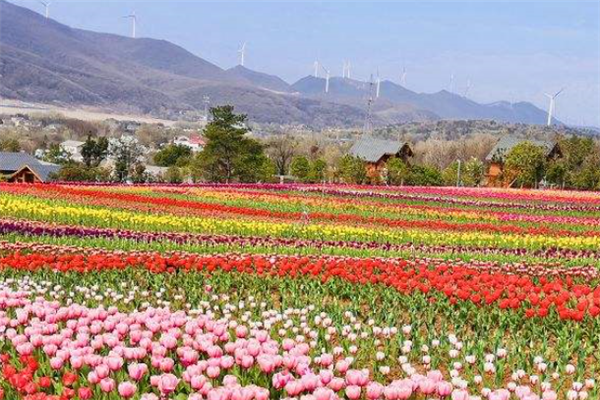 荆门十大风景名胜排行榜：美人谷上榜，第六是皇帝帝陵插图1