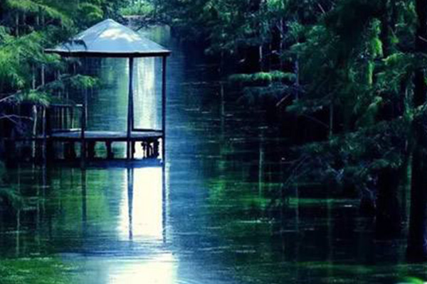 武汉抖音网红地点:周末放松好去处知音号 涨渡湖 木兰草原上榜插图7