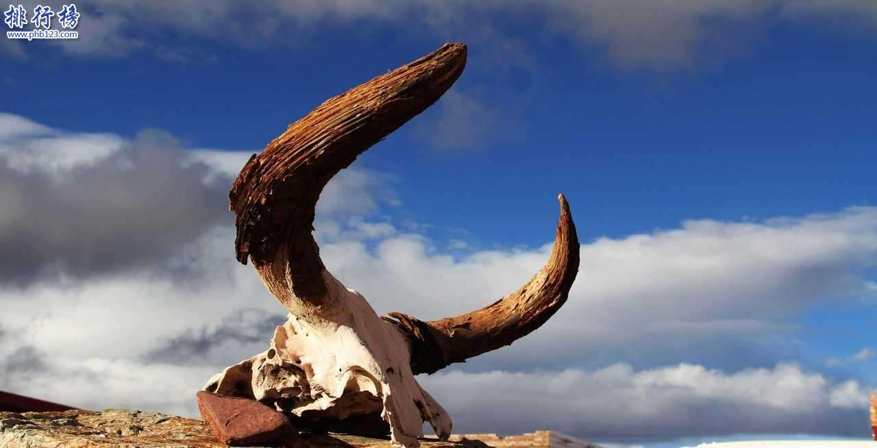 中国四大无人区:传说中有僵尸出没的生命禁区插图5