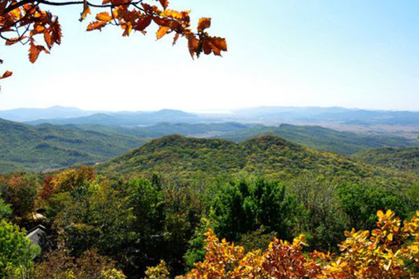 哈尔滨十大爬山好去处:帽儿山森林公园上榜，这儿有鸟啼莺飞插图2