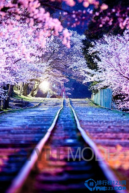 全球十大适合女生独自旅行的目的地 说走就走插图