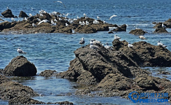 盘点辽宁十大最美旅游地 尽显关东风情插图3