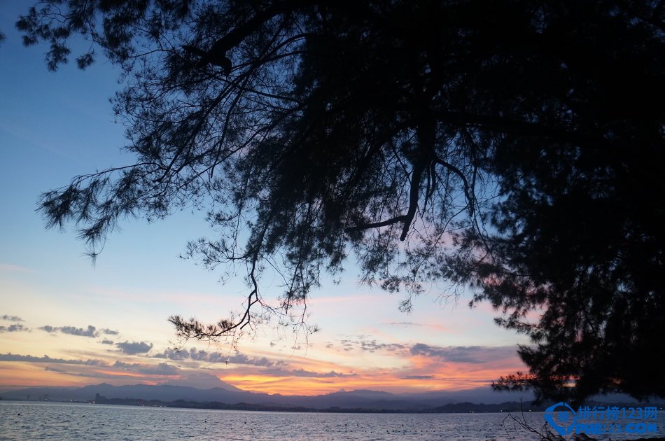 世界上最古老的十大原始森林排行榜插图7