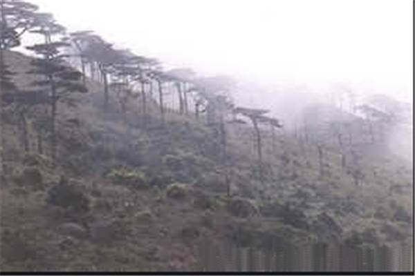 泉州十大风景区排行榜:姑嫂塔上榜,九天圣境第二插图6 泉州十大风景区排行榜:姑嫂塔上榜,九天圣境第二插图6