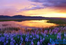 法国十大最浪漫地点，想带着他（她）去哪？|爱分享