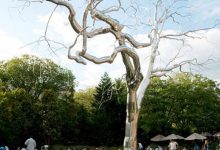 全球十大野餐度假地排行榜|爱分享