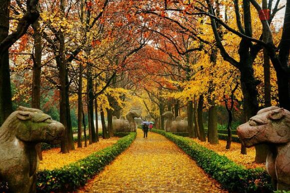 南京必去十大历史景点，中山陵园你去过吗插图1