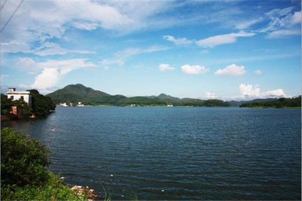 东莞十大人少好玩景点：鲤鱼洲第七，第八可看水生态景观插图4