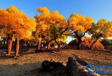 你不得不知的二十个美不胜收的新疆美景|爱分享