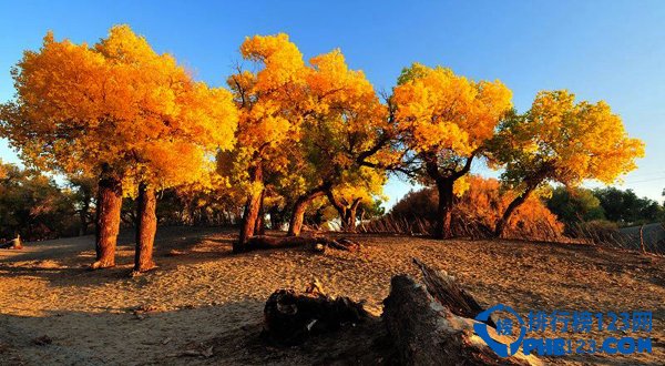 你不得不知的二十个美不胜收的新疆美景插图20