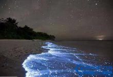 全球最古怪的14个地方排行榜|爱分享