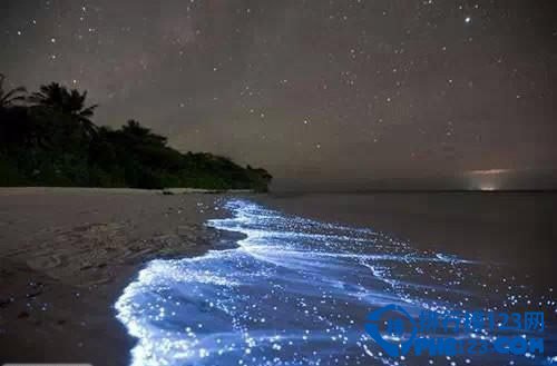 全球最古怪的14个地方排行榜插图13