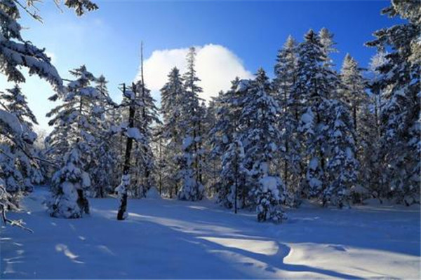 国内冬天适合度假的八个地方 哈尔滨 北京上榜插图4