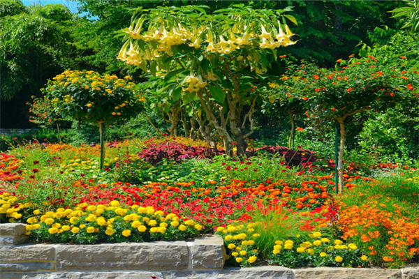 杭州十大公园排行榜：文化公园上榜，它古色古香插图9