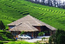 贵州十大爬山好去处排行榜:梵净山上榜，夏有凉风冬有雪|爱分享