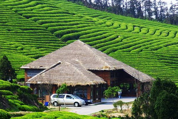 贵州十大爬山好去处排行榜:梵净山上榜，夏有凉风冬有雪插图9
