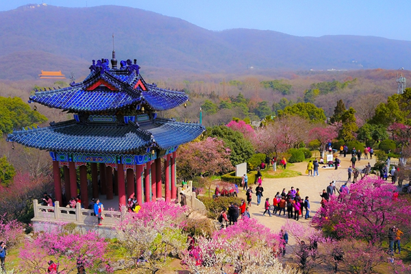 南京十大冬季旅游好去处,梅花山强势上榜，栖霞山仅排第十插图8