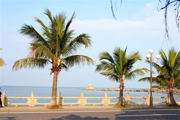 珠海十大公园广场排名:尖峰山公园第9，第10夜晚热闹插图3