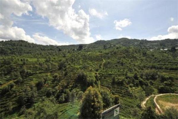 云南十大名村 个个美到不像话，你了解哪几个插图8