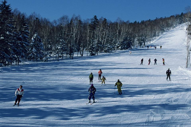 哈尔滨必游景点排名 最受欢迎的景点，你去过几个？插图