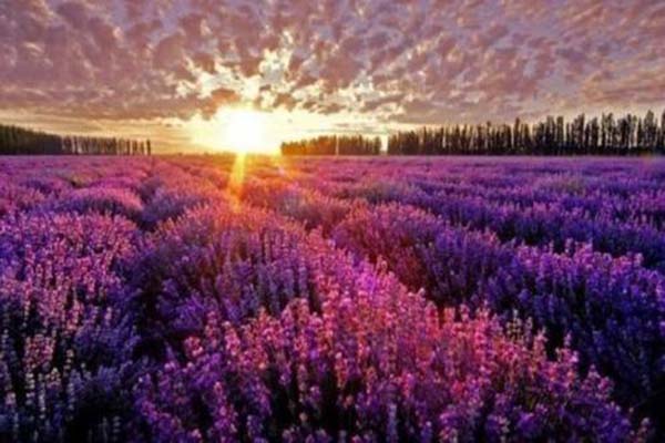 端午节十大国外游玩地点 韩国有着特色的“江陵端午祭”插图7