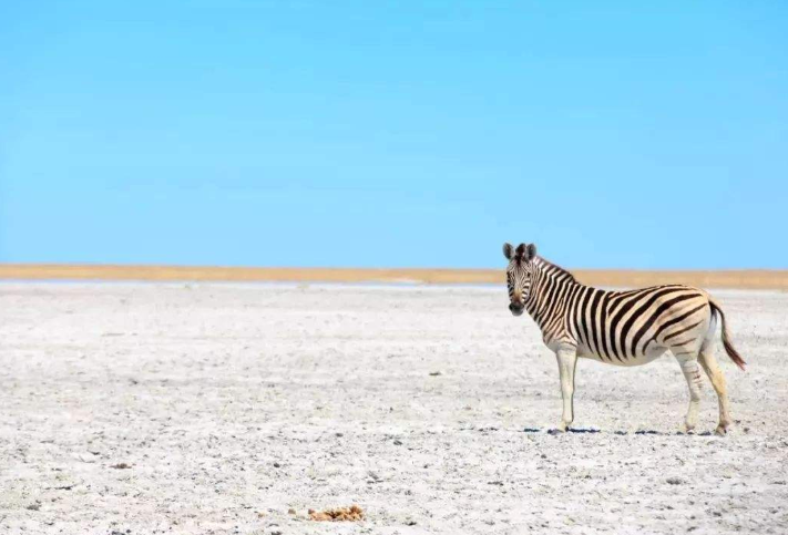 全球十大盐沼排行榜 宛如仙境般的美景，一生一定要去一次插图9