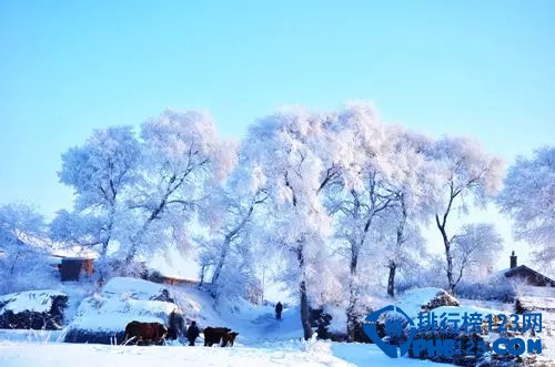 冬季旅游不得不去的十大圣地排行榜插图7