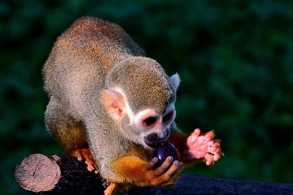 山东十大最好玩的地方 地下大峡谷上榜 第一名有800里水景插图4