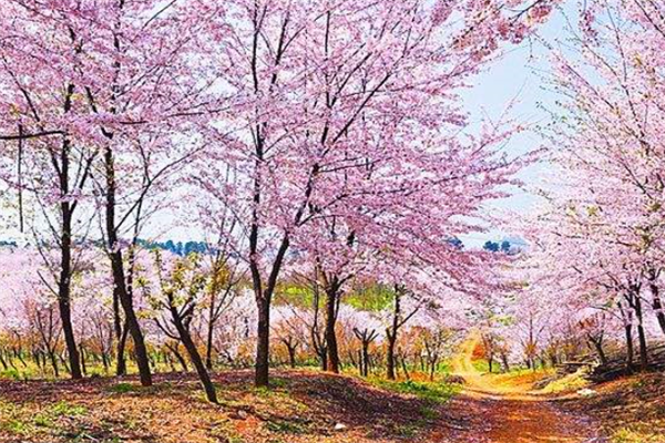 安顺十大风景名胜排行榜：天龙屯堡上榜，瀑布较多插图4