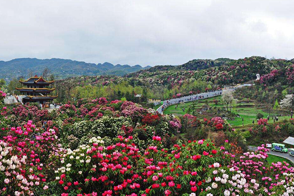 贵阳十大最好玩的地方:少数民族聚居地花溪高坡上榜插图7