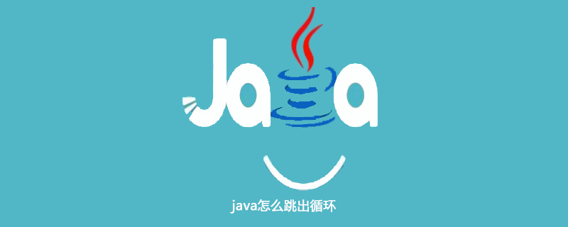 java怎么跳出循环插图
