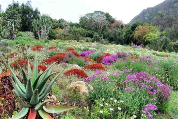 世界最令人惊艳的十大花园 侬律花园美到无可挑剔,你想去吗插图5