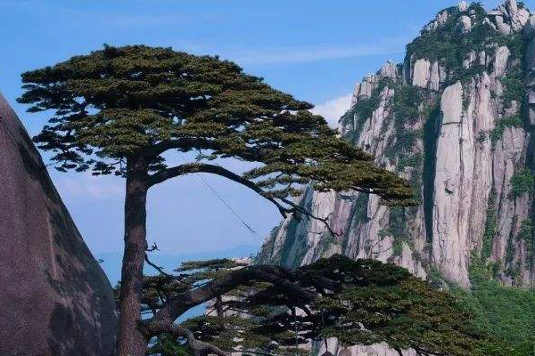 安徽必去五大旅游景点:黄山上榜，每一个都美不胜收！插图