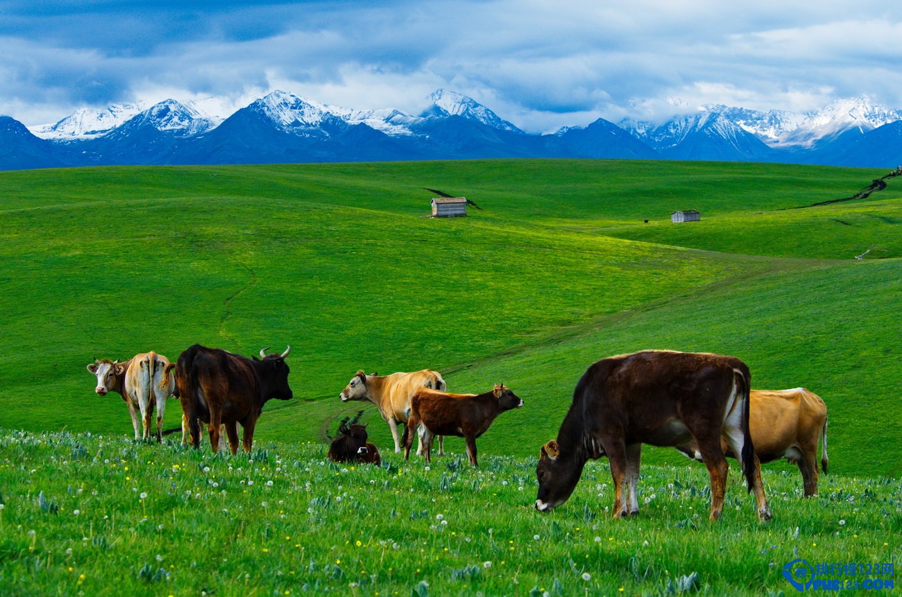 你不得不知的二十个美不胜收的新疆美景插图3