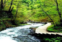 哈尔滨十大爬山好去处:帽儿山森林公园上榜，这儿有鸟啼莺飞|爱分享