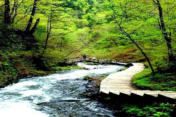 哈尔滨十大爬山好去处:帽儿山森林公园上榜，这儿有鸟啼莺飞插图9