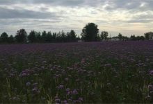 汉中最好玩的地方推荐 汉中好玩的地方排行榜|爱分享