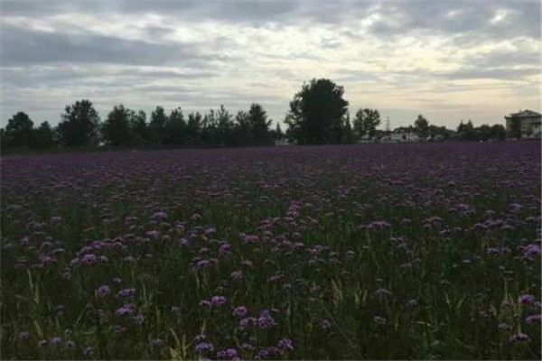 汉中最好玩的地方推荐 汉中好玩的地方排行榜插图