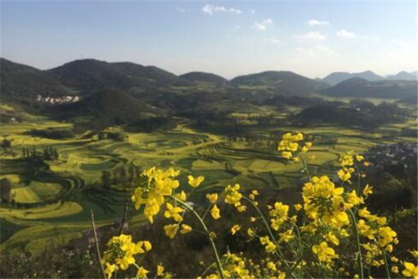 曲靖最好玩的地方推荐 曲靖好玩的地方排行榜插图