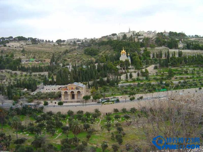 盘点以色列十大最美旅游地 不要错过这特有的美插图4