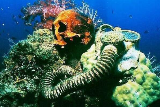 世界潜水胜地排名 魔鬼鱼村第三,椰子岛很是凶险插图1