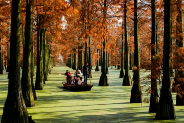 武汉十大网红景点 楚河汉街是商业中心，东湖绿道环境优美插图9